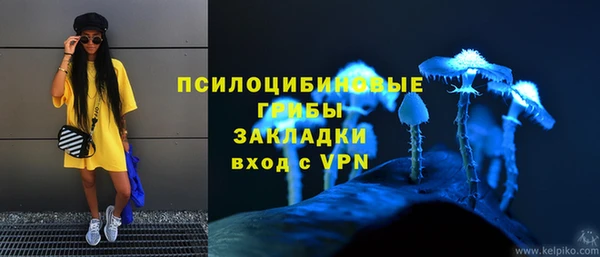 кокс Белокуриха