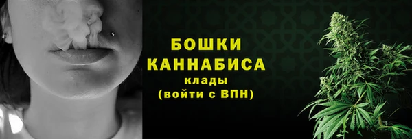 кокс Белокуриха