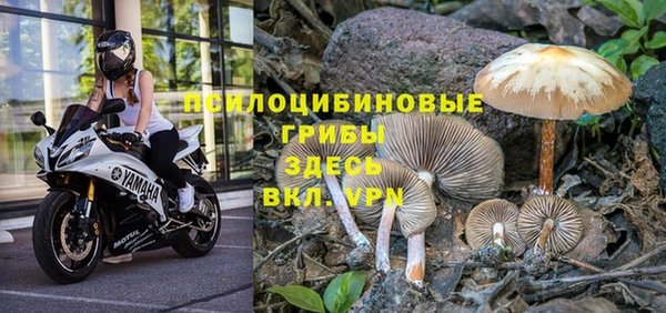 герыч Беломорск