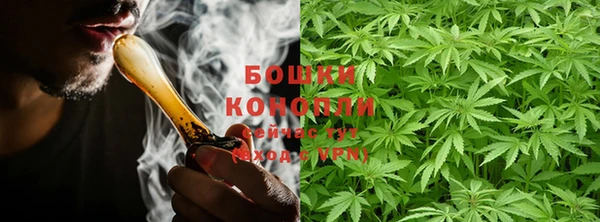 кокс Белокуриха
