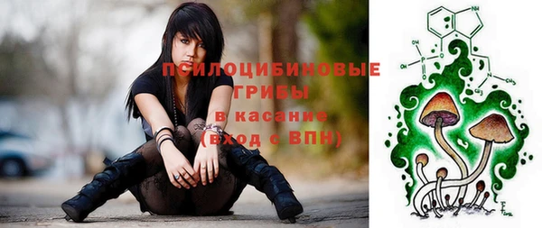 кокс Белокуриха