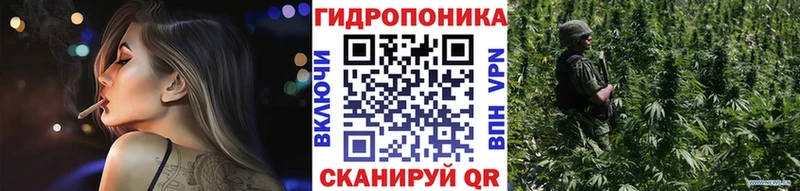 где продают наркотики  Невель  МЕГА рабочий сайт  МАРИХУАНА гибрид 